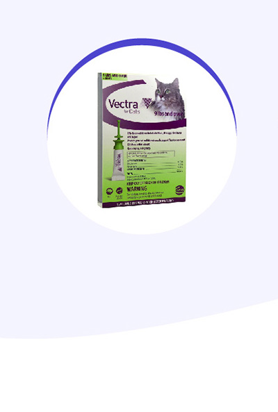 flea-treatment-for-cats