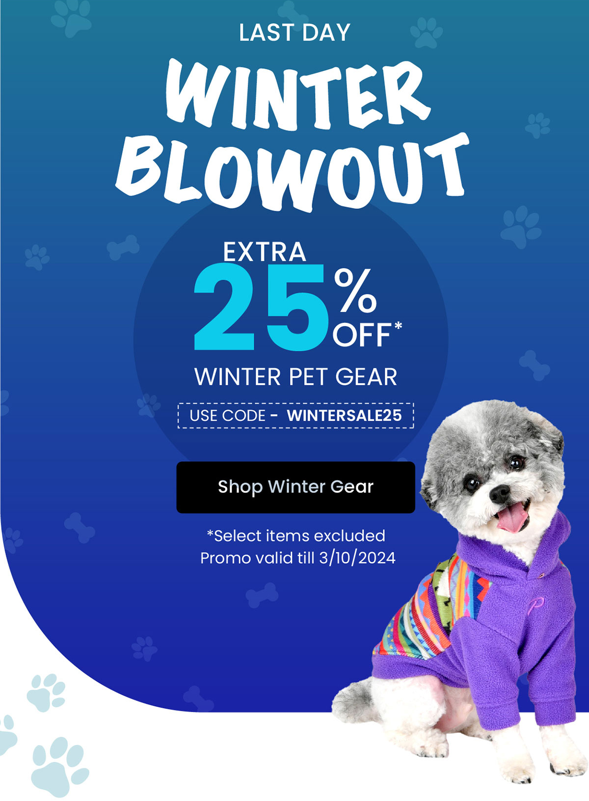 Winter Blowout