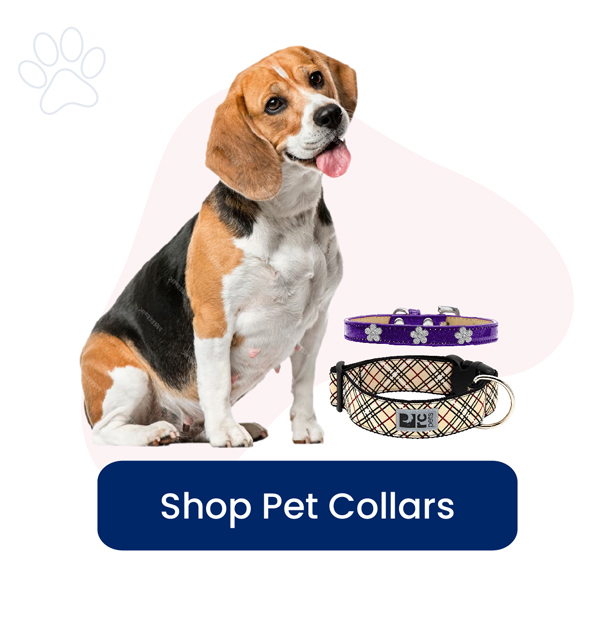 dog-collars