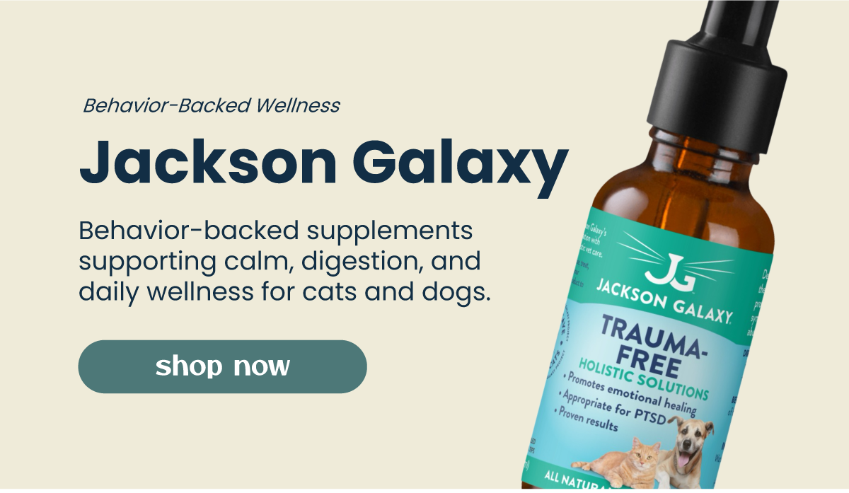 Jackson Galaxy