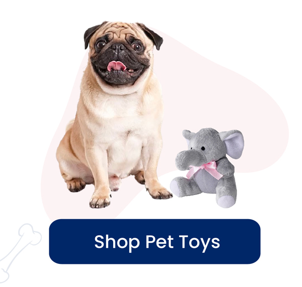 Shop Pet Toys