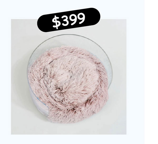 hiddin-clear-round-pet-bed