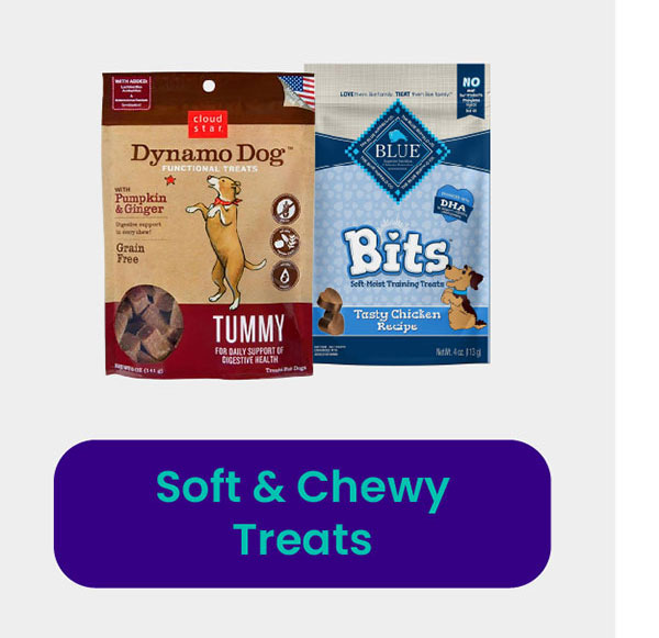 Soft & Chewy Treats