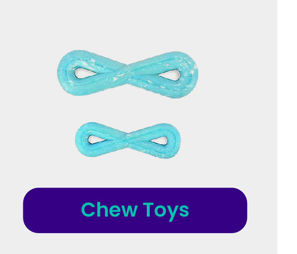 Chew Toys