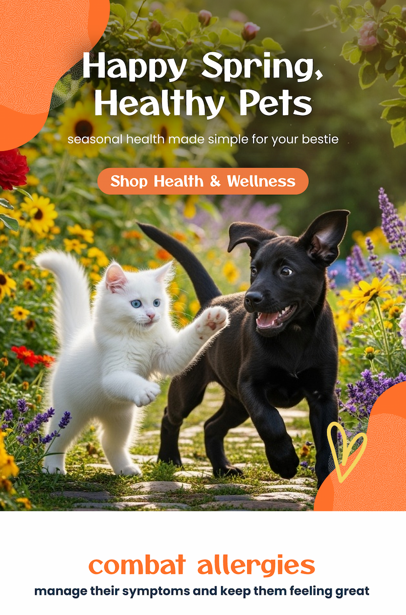 Spring for Wellness Support