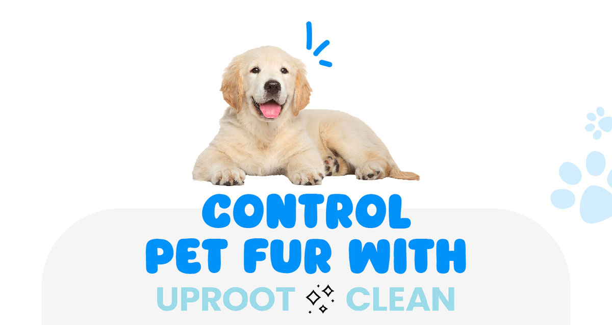 Control Pet Fur