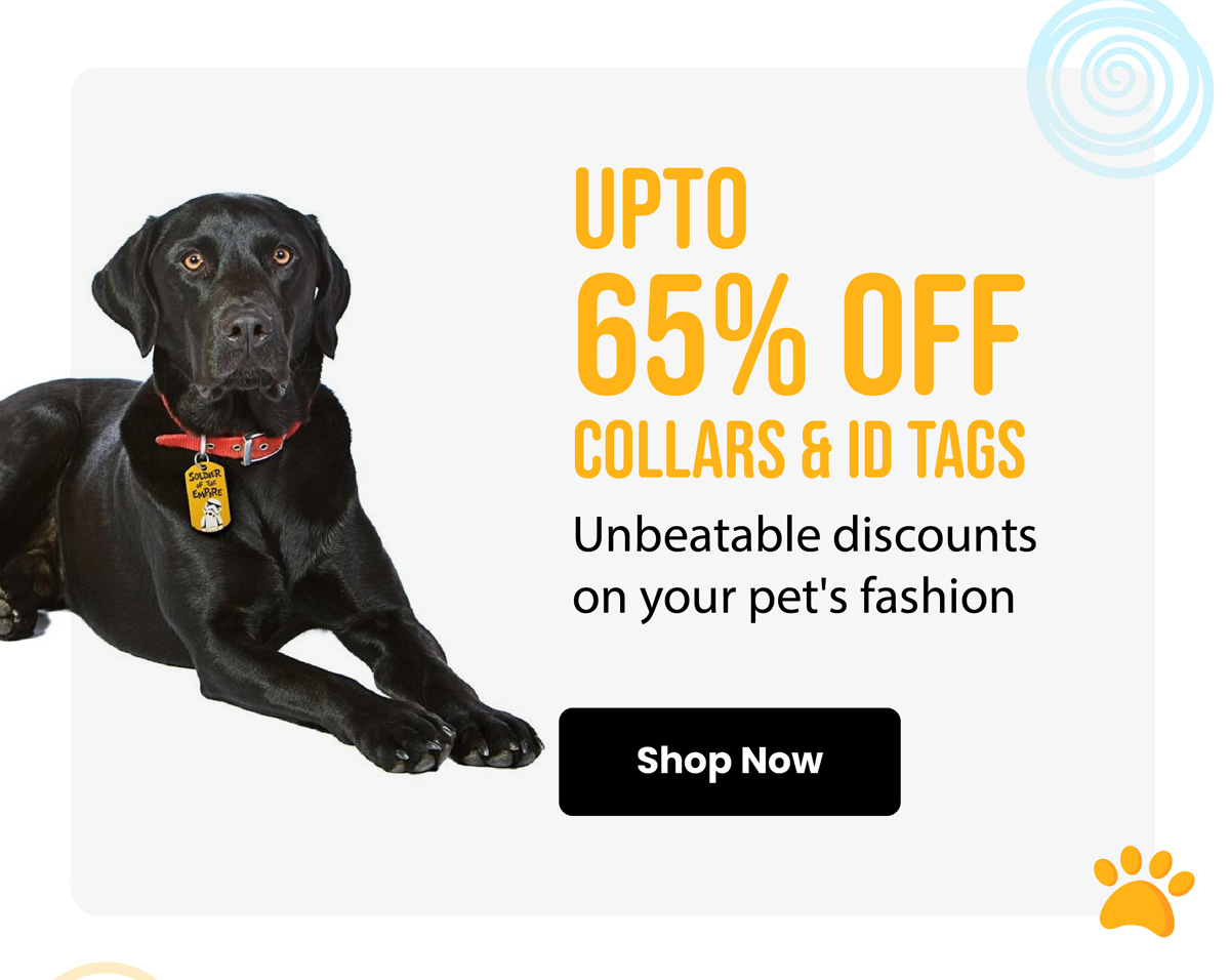 Up To 65% Off Collars & ID Tags