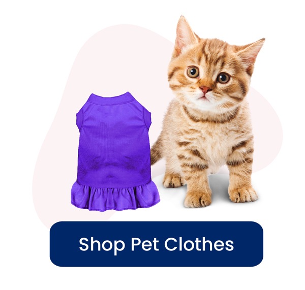 clothes