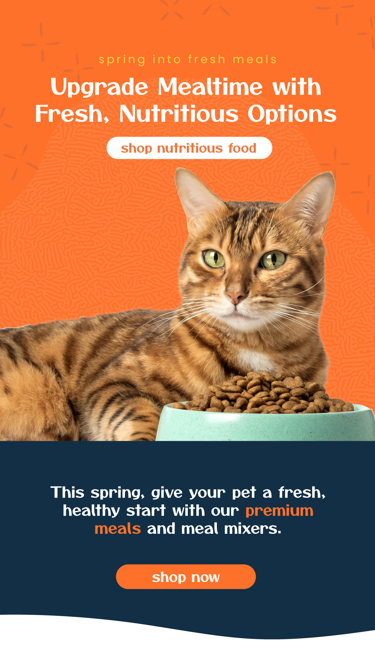 Spring for a new meal!