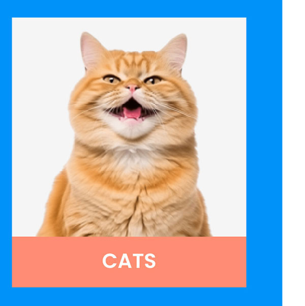 cats