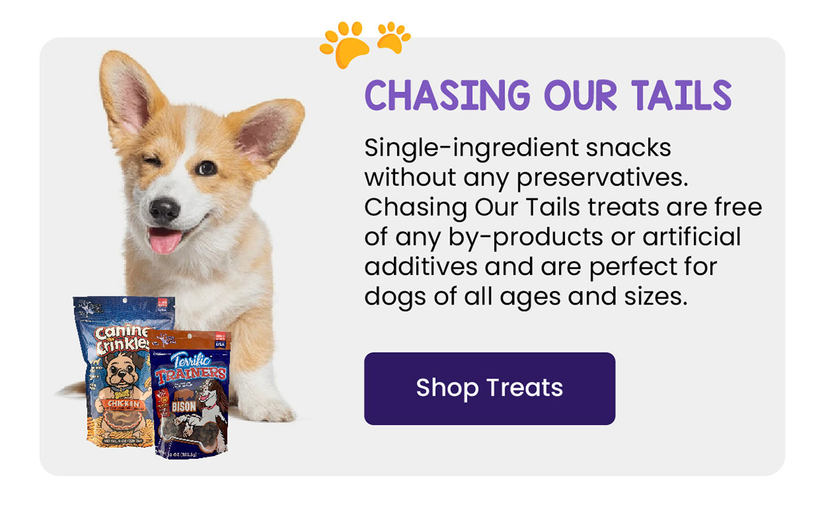 Chasing Our Tails