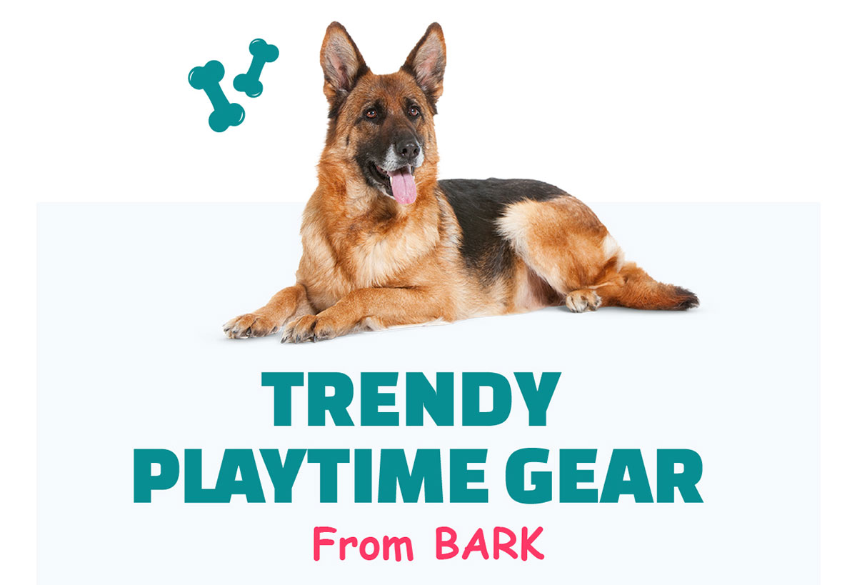 Trendy Playtime Gear