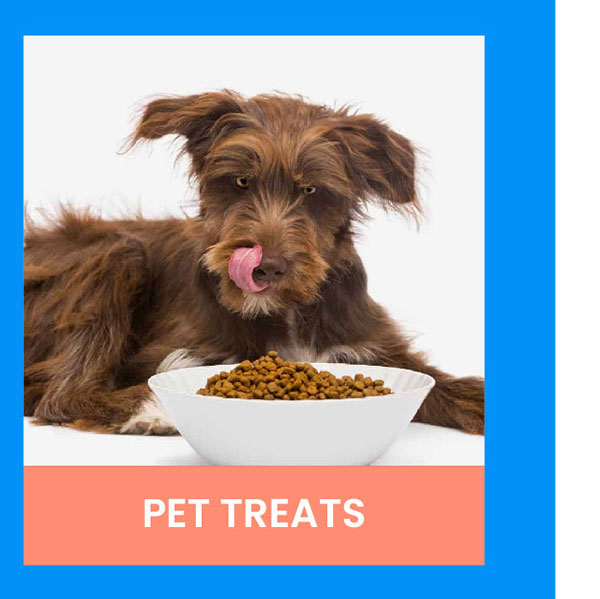 Pet Treats