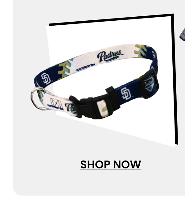 baseball-printed-dog