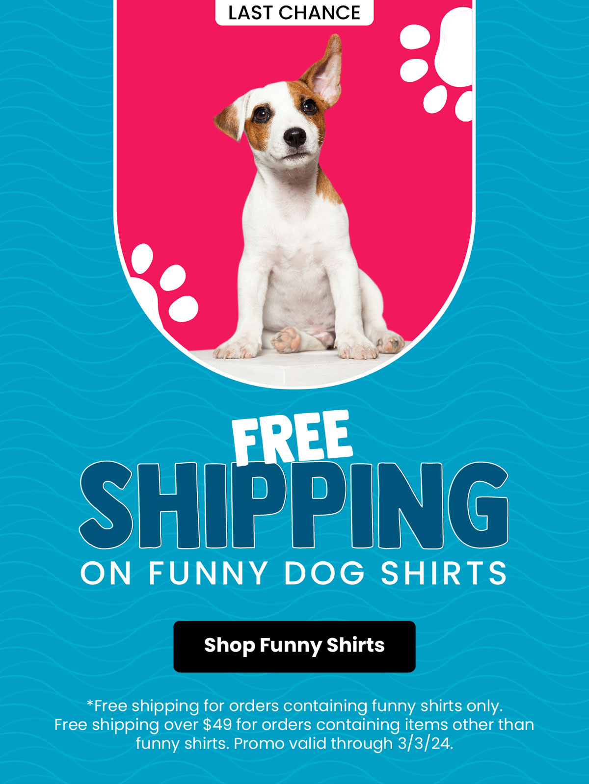 Free Shipping