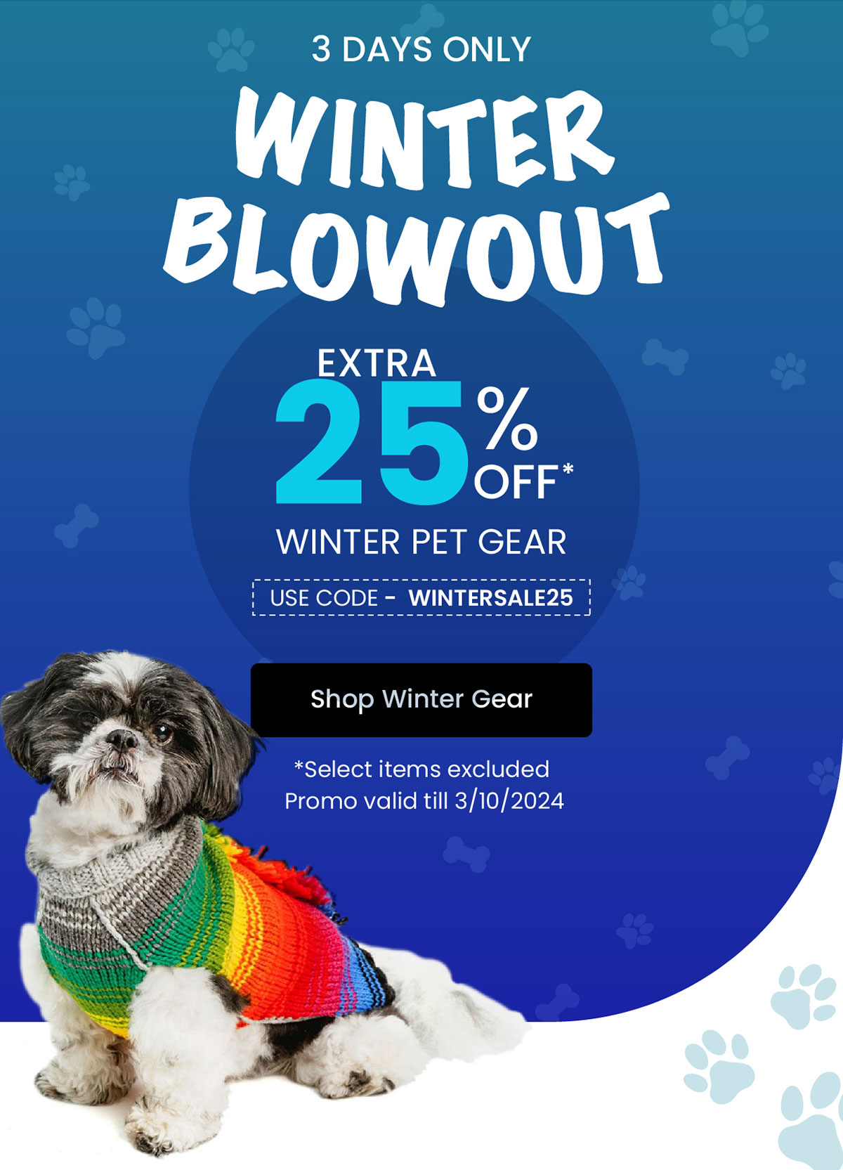 Winter Blowout