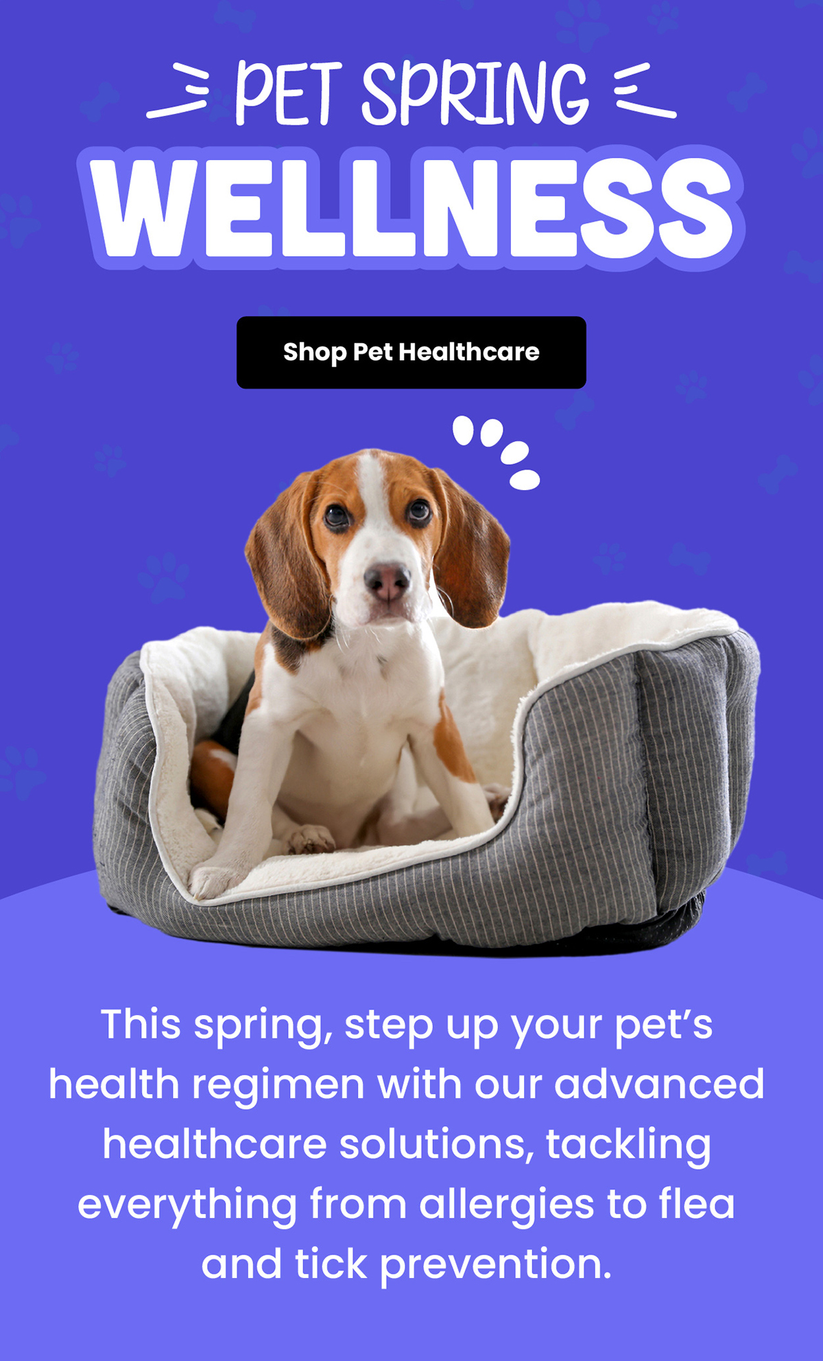 Pet Spring Wellness