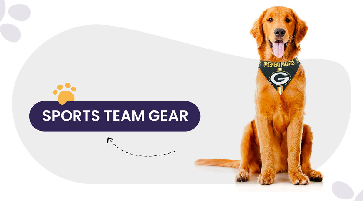 Sports Team Gear