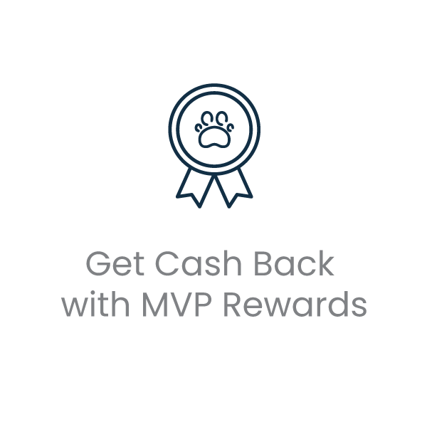 Join MVP!