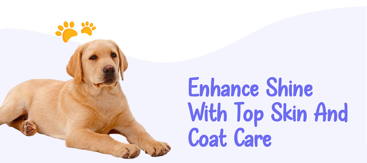 Enhance shine with top skin and coat care