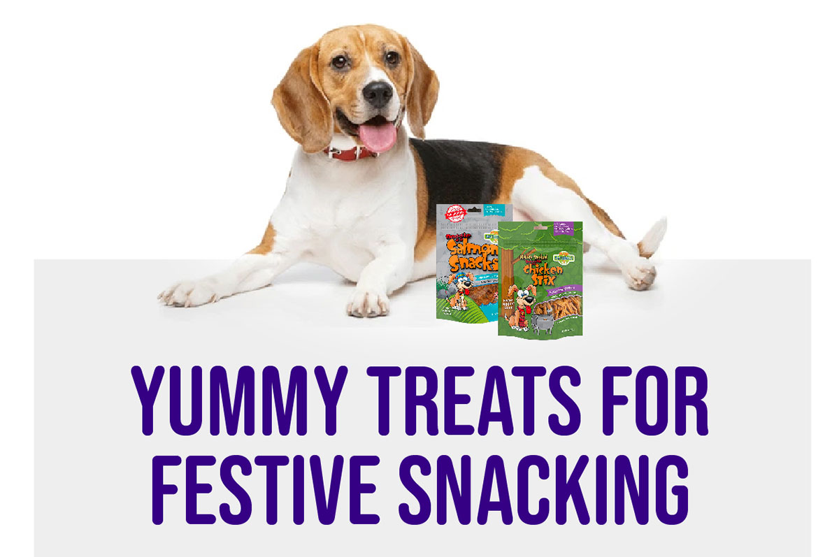 Yummy Treats For Festive Snacking