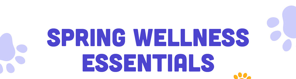 Spring Wellness Essentials