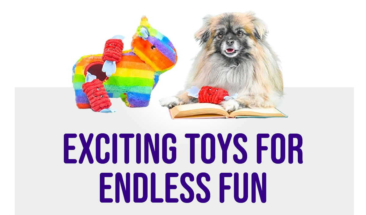 Exciting Toys For Endless Fun