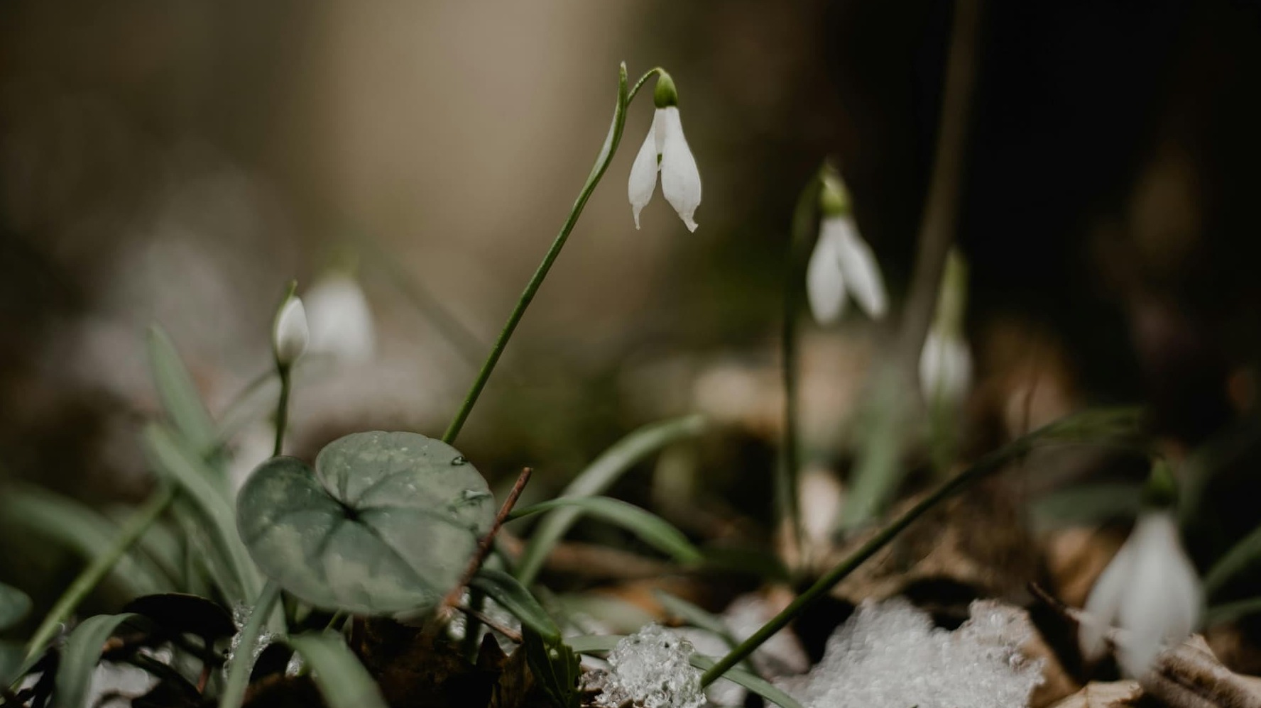 eugenie, autumn equinox rhythm & ritual