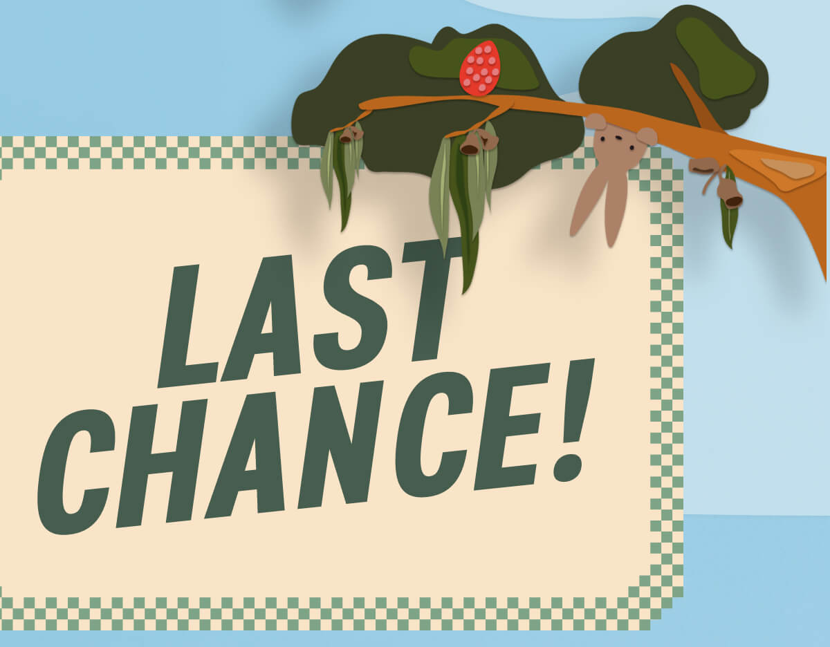 LAST CHANCE!