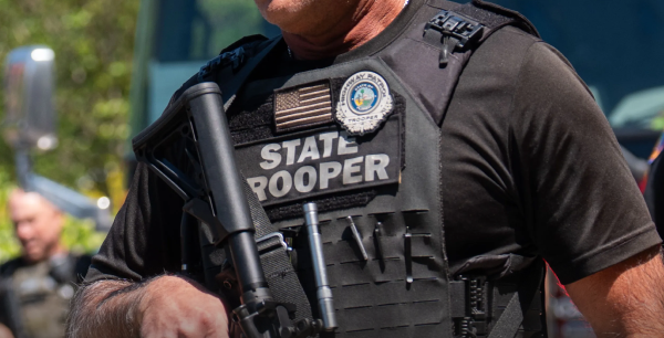 Operator wearing RTS Tactical plate carrier and rifle magazines in multicam uniform