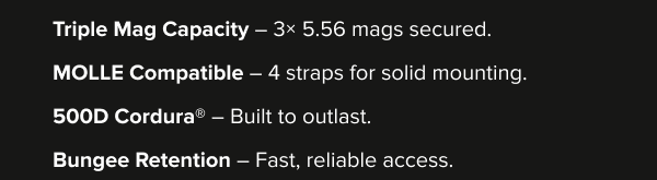 Triple mag capacity, MOLLE compatible straps, 500D Cordura durability, bungee retention
