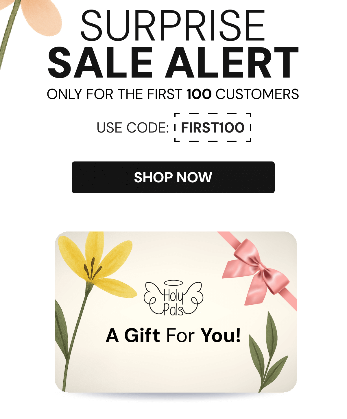 SURPRISE SALE ALERT | SHOP NOW