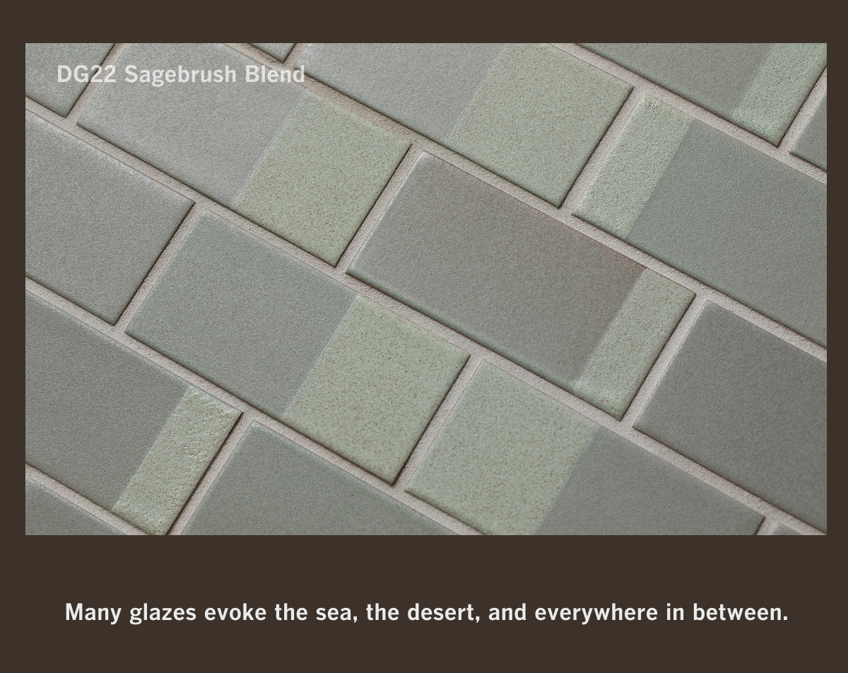 Shop DG22 Sagebrush Blend tile samples