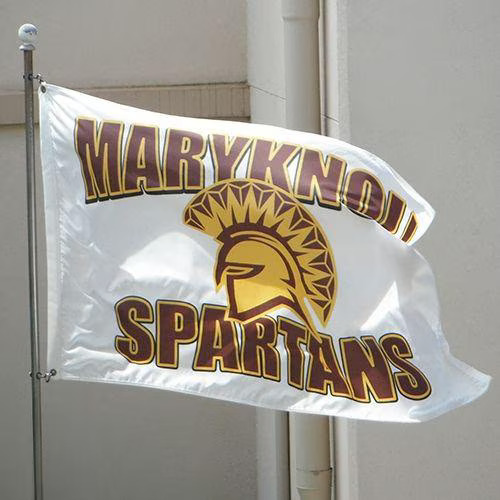 Custom Standard Shape Flags
