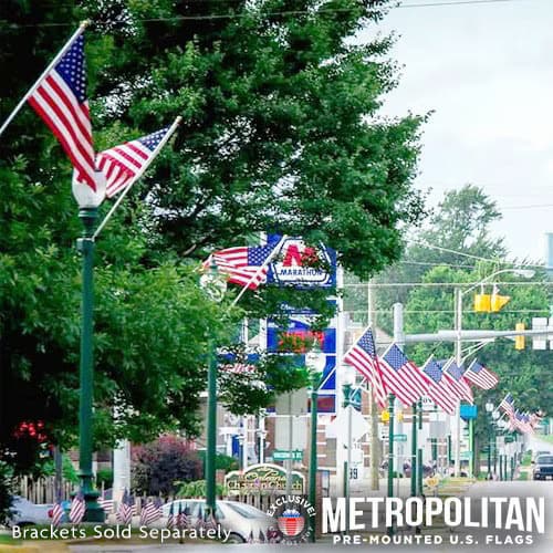 Metropolitan 3′x5′ Flag and Pole Set