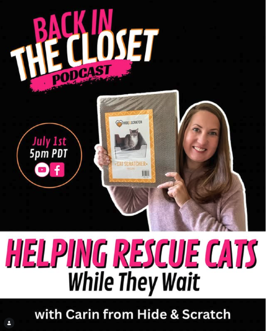 Two Crazy Cat Ladies Podcast