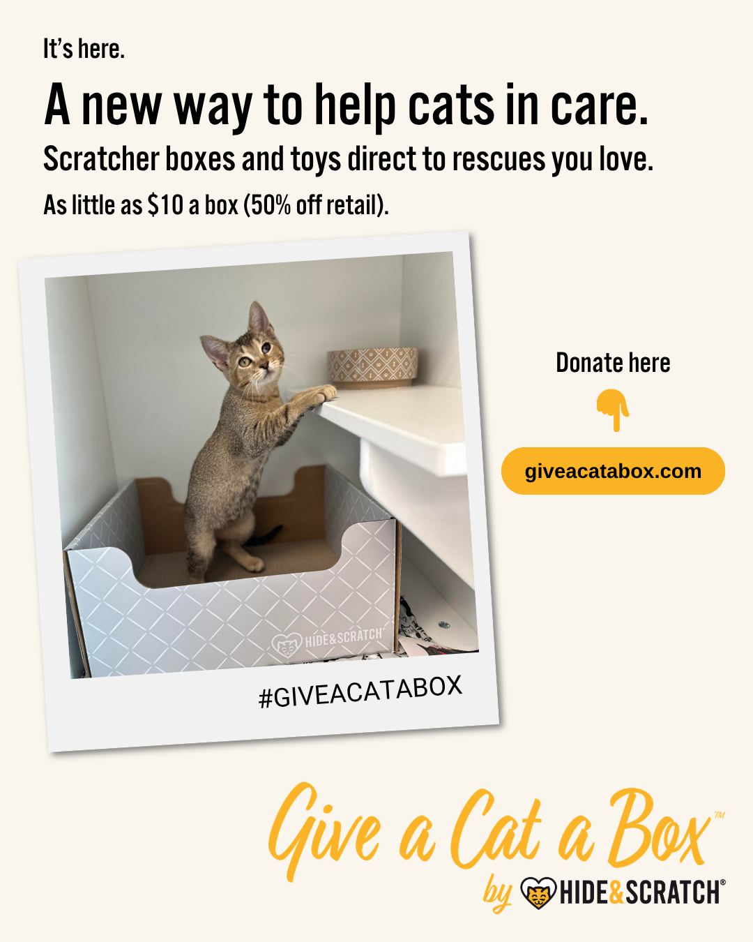 Give a Cat a Box