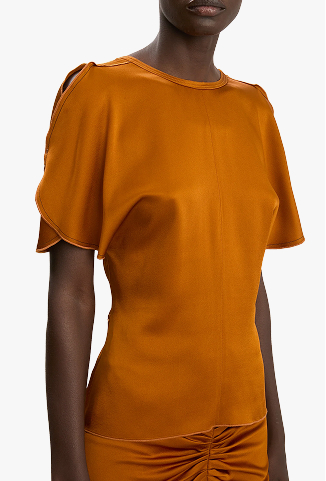 Draped Sleeve Top In Bronze