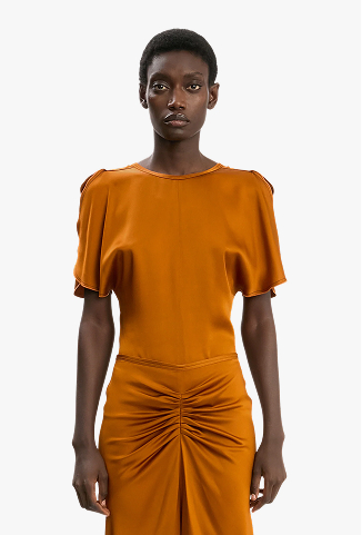 Draped Sleeve Top In Bronze