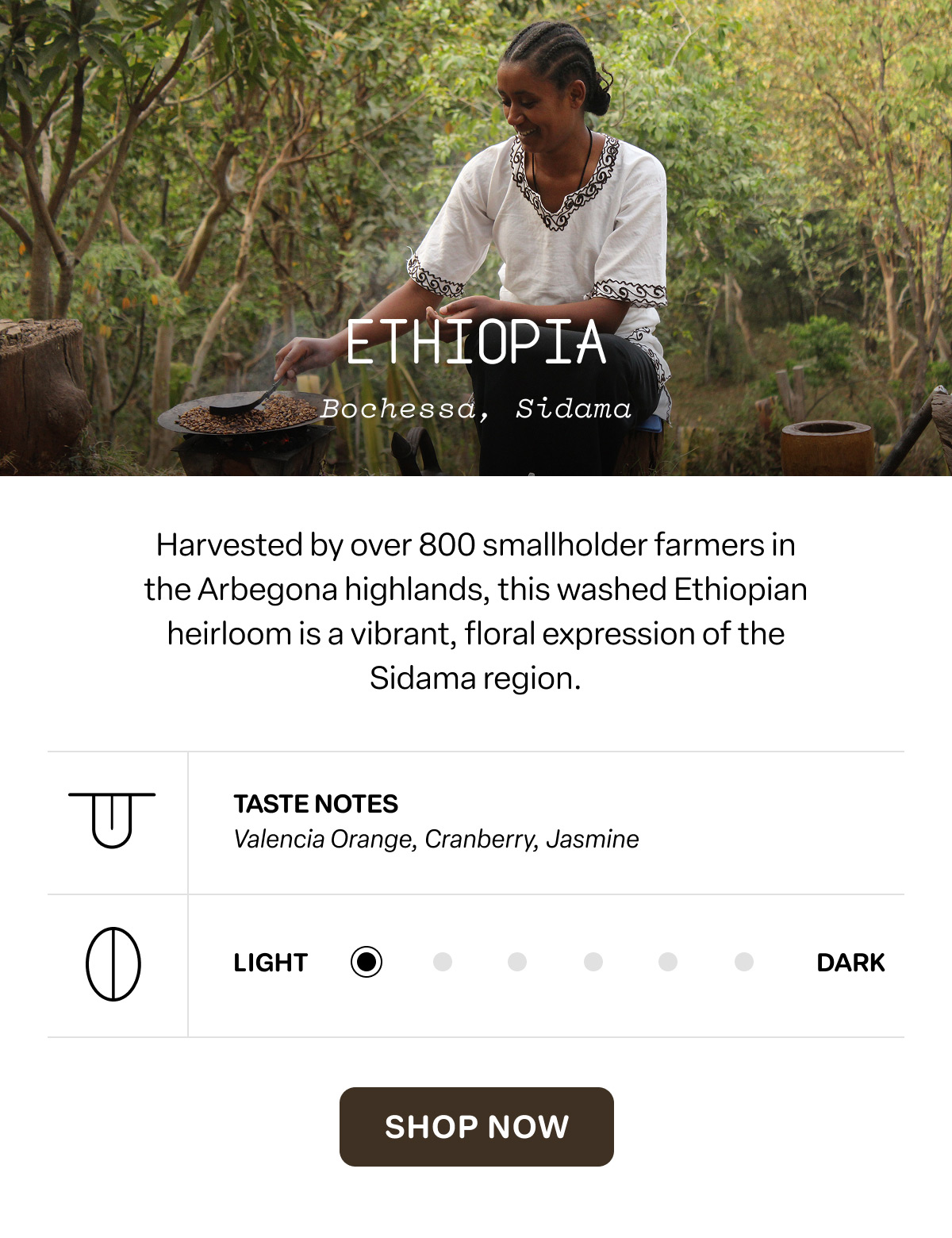 Ethiopia Bochessa