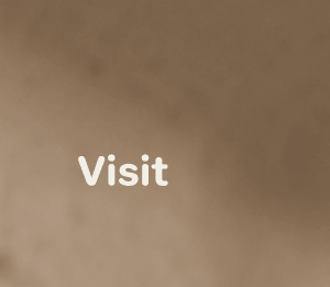 Visit