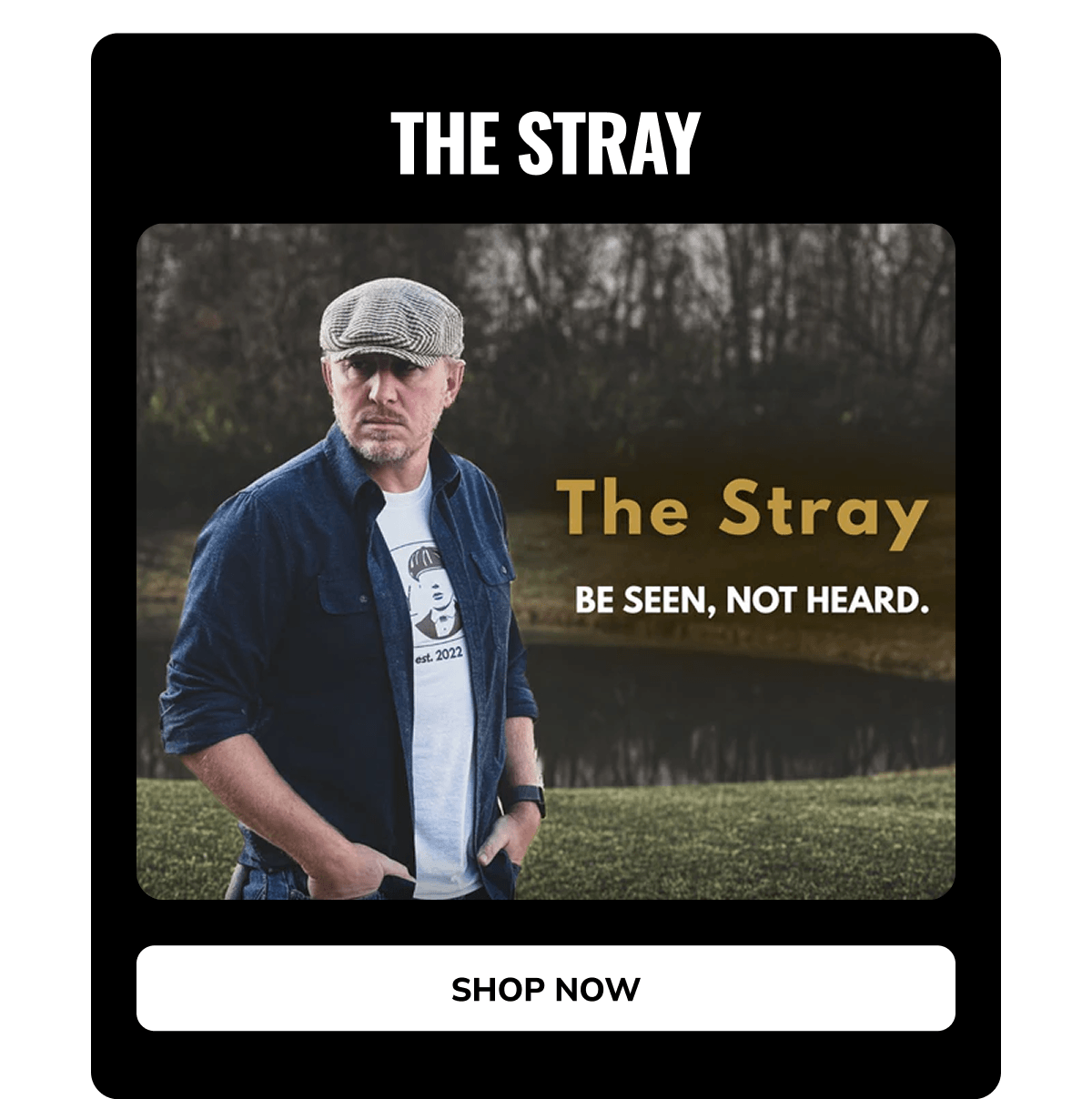 Shop Now (The Stray) - Peaky Hat