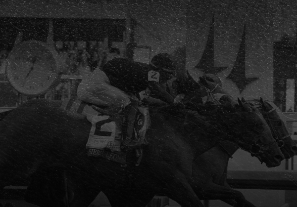 Choose 'UPS 2nd Day' Shipping To Get Your Cap In Time For The Derby!