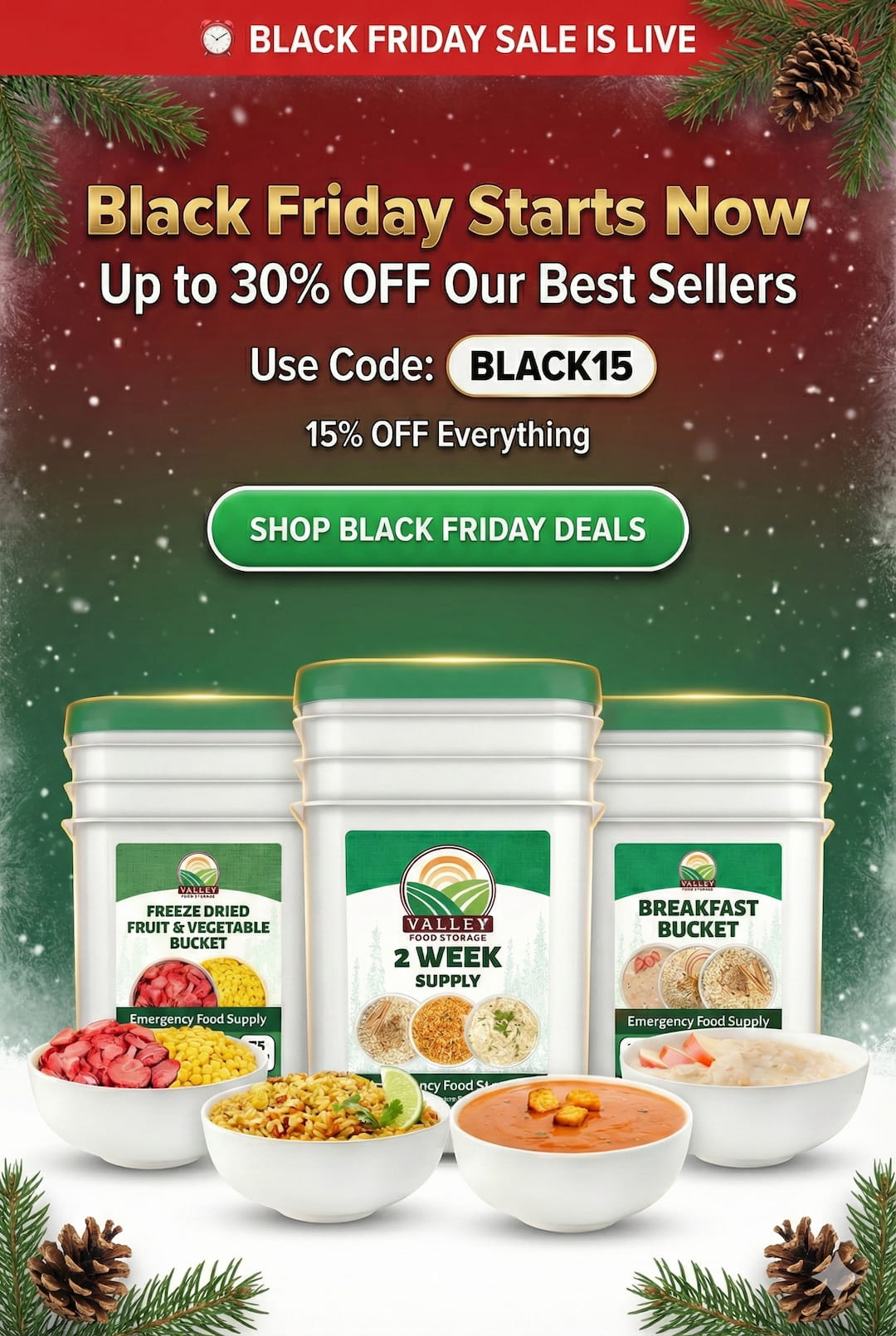 Valley Food Storage emergency food buckets and prepared freeze-dried meals displayed in a Black Friday promotion banner.