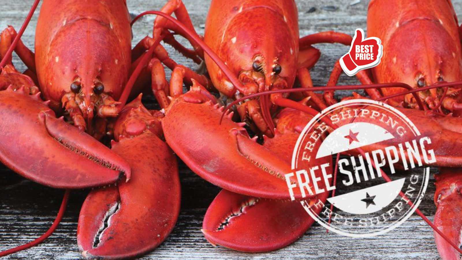 65 OFF + New Tails Deal For You Get Maine Lobster