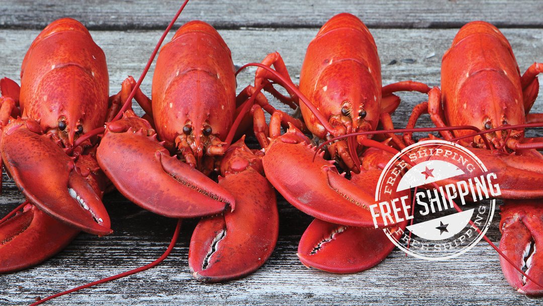 Kevin wanted a deal on 4 live lobsters Get Maine Lobster