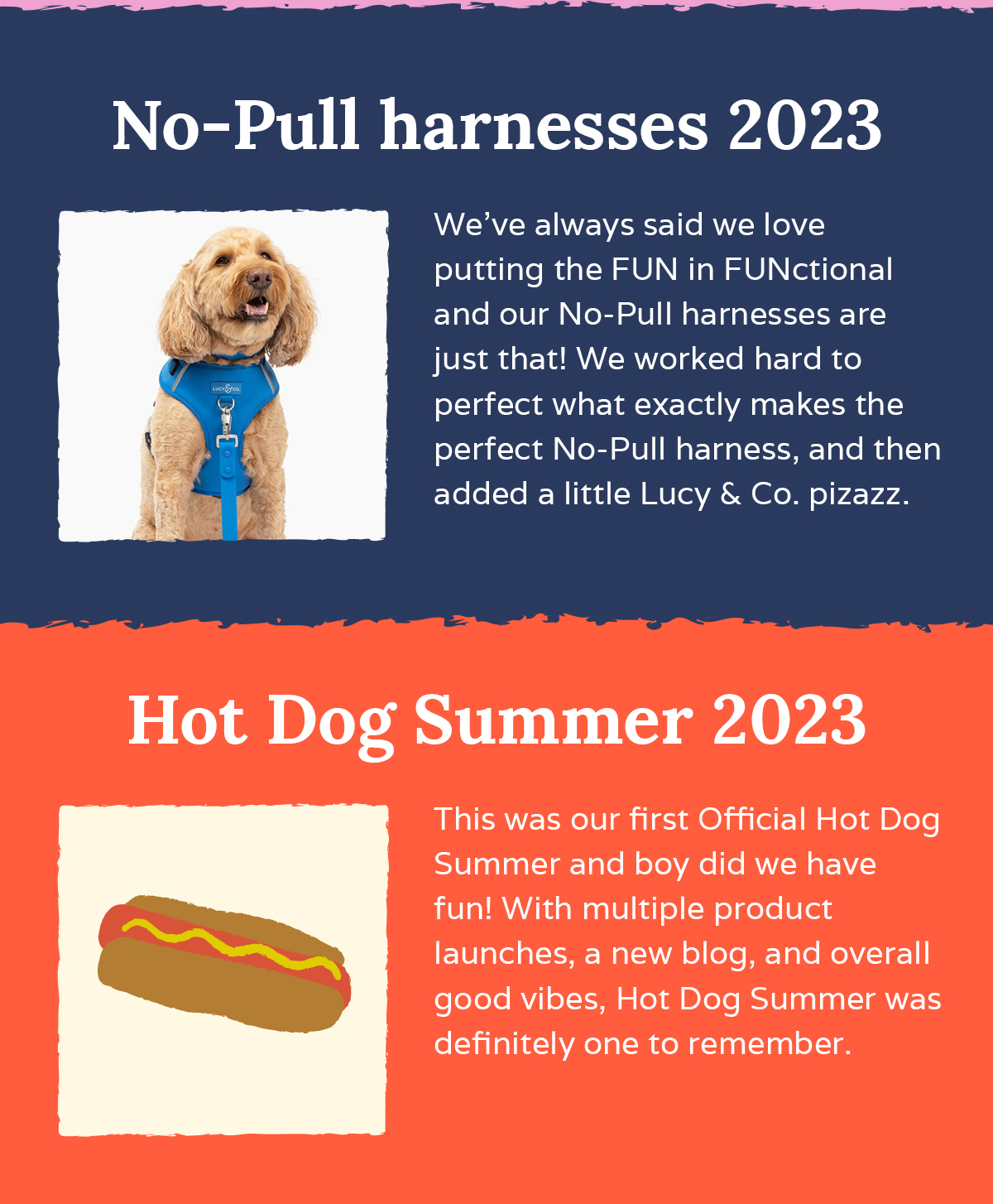 It's our Birthday! - Lucy & Co