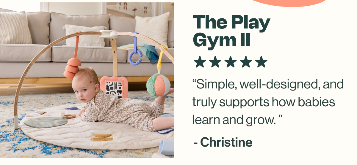 The Play Gym II