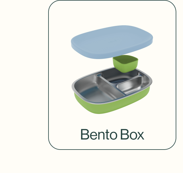 Bento Box 