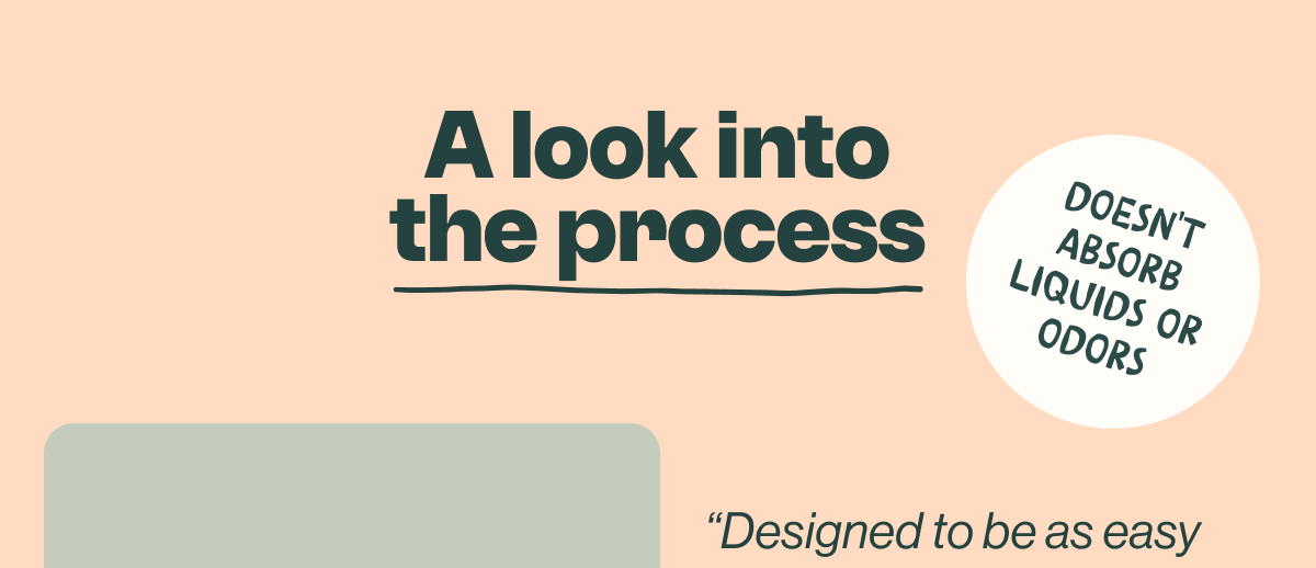 A look into the process